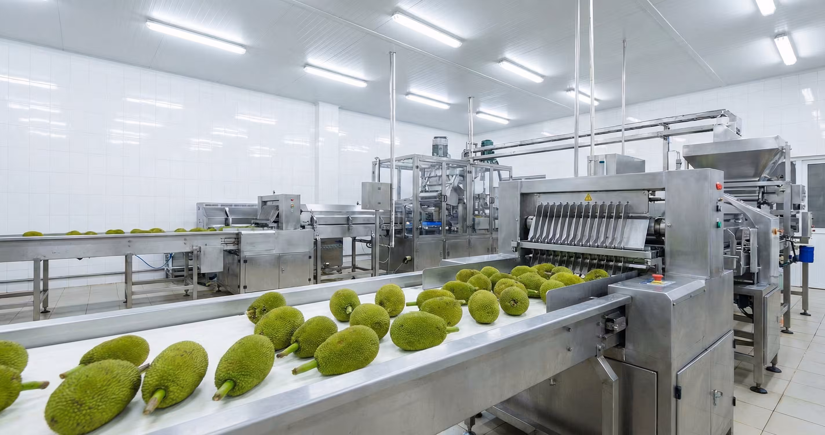 Innovating Agriculture: Designing an Industrial Jackfruit Processing Machine